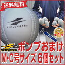 最大6%引クーポン お得な6個セット "砂トレ"アイアンサンドボール 軟式A号・C号サイズ 大きさそのまま&重さ約3倍! フィールドフォース 打撃 バッティング 練習 トレーニング 野球 FIMP-680 FIMP-720 ソフトボール ジュニア 少年 大人 あす楽