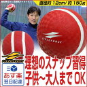 最大5%引クーポン 投球 送球練習用ボール スローイングマスター 投げるだけで理想のスナップを習得!子供から大人までOK フィールドフォース 投球練習 ピッチング練習 キャッチボール 野球練習用品 トレーニング用品 ケガ防止 リハビリ イップス FPG-5 あす楽
