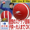 最大5000円引クーポン 投球 送球練習用ボール スローイングマスター 投げるだけで理想のスナップを習得!子供から大人までOK フィールドフォース 投球練習 ピッチング練習 キャッチボール 野球練習用品 トレーニング用品 ケガ防止 リハビリ イップス FPG-5 あす楽