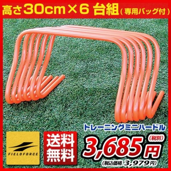 最大5％引クーポン ミニハードル Mサイズ 30cm×6台組 専用バッグ付き トレーニング…...:bbtown:10048238