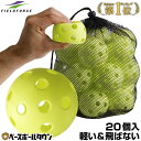 最大10%OFFクーポン 野球 練習 穴あきボール 20個セット 専用メッシュバッグ付き 軽
