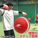 最大10%OFFクーポン 野球 投球 送球 スローイングマスター ピッチング キャッチボー