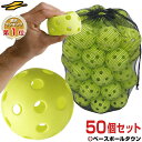 最大2000円引クーポン 野球 練習 穴あきボール 50個セット 専用バッグ付き 軽い・柔らかい・飛ばない・割れにくい 打撃 バッティング FBB-50 フィールドフォース