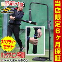 スペアティーおまけ リニューアル!野球 練習 スウィングパートナー・バックスピン 硬