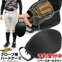 【3月下旬発送予定 予約販売】野球 グローブ用ハードケース グラブケア 保型 メンテナ