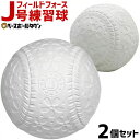最大10%引クーポン フィールドフォース J号練習球 2個売...