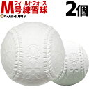 最大2千円オフクーポン 軟式 M号 野球 軟式練習球 2個売り 一般・中学生向け メジャー 練習用 新規格 新軟式球 草野球 軟式ボール 桜ボール さくらボール FNB-722M フィールドフォース M球 新球 トレーニング