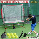 専用アダプタープレゼント 6ヶ月保証付き 野球 練習 オート...