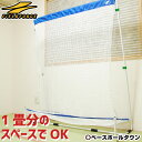 最大2500円引クーポン 野球 練習 室内用バッティングネット ナノミニボール対応 打撃
