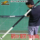 最大10%引クーポン 野球 練習 トレーニングバット 長尺&...