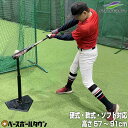 最大10％OFFクーポン 野球 練習 バッティングティースタンド 硬式 軟式M号・J号 ソフ