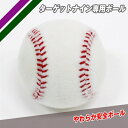 最大2千円オフクーポン スペアボール1個のみ ターゲットナイン専用ボール 1個売り FTRN-9SB フィールドフォース