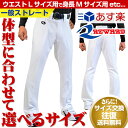 最大6%引クーポン レワード 野球用練習着 ストレート 一球入魂 ユニフォームパンツ 練習着パンツ UFP503 あす楽 サイズ交換往復送料無料
