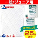 28%OFF ネコポス可 1枚入り 野球 REWARD(レワード) ヒザパッド(大人/ジュニア用) 縫い付け用 AC02/AC52 あす楽 少年用