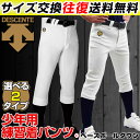 2点で300円引クーポン!野球 ユニフォームパンツ 21%OFF 選べる2タイプ! デサント