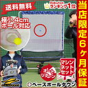 最大2500円引クーポン 電池おまけ 野球 練習 エンドレス打撃練習マシン ミートポイン
