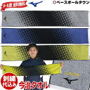 メール便なら送料無料 文字刺繍代金込み ミズノ 今治タオル ...