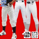野球 ユニフォームパンツ 2019 ミズノ 練習着 ジュニア ヒザ・ヒップ衝撃吸収パッド付