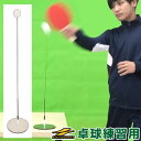 最大10%引クーポン 卓球 練習 トレーニング 室内 卓球用スウィングパートナー ピンポン BTKP-200 フィールドフォース