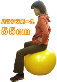 【即納】送料無料！トレーニングガイド・ハンドポンプ付バランスボール55cmが→1,980(税込)！