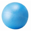 最大9%引クーポン トレーニング 送料・代引無料:10個セット! トレーニングガイド・ポンプ付 バランスボール75cmが10個で→\17800(税込)! STT-121-10 取寄