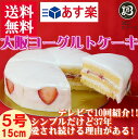 大阪ヨーグルトケーキ・ノーマル5号 15cm【送料無料】【あす楽】【ケーキ】