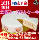 大阪ヨーグルトケーキ・ノーマル6号 18cm【送料無料】【あす楽】【ケーキ】