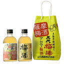 【エントリーでkobo Touch予約＆お買い物でポイント5倍】山元酒造 五代梅酒・アロマ梅酒 300ml 2本セット 4989489690499【02001】【お中元】