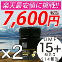 マヌカハニー UMF15+ 2個セット 250g ハニーバレ...
