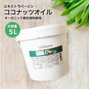 【発送までの準備期間に7日〜14日かかります】大容量 ココナ...