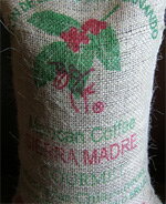 【7月サービス豆】メキシコ・シェラマードレ(200g)化学薬品を使用していないコクのある 2012年7月Newクロップ入荷！！