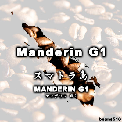 マンデリンG1(200g)...:beans510:10000166