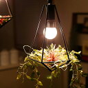5000円クーポン獲得可★【LED電球 プレゼント中!】照明 LED 1灯 ペンダントライト ジェリコ フェイクグリーン セット|照明器具 間接照明 天井照明 テラリウム トイレ 玄関 おしゃれ モダン 電気 ライト ガラス ペンダント ダイニング用 食卓用 リビング用 居間用
