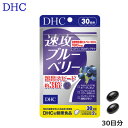 DHC 速攻ブルーベリー(30日分) サプリメント