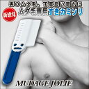 【BSP】【メーカー欠品で2月以降となります】【送