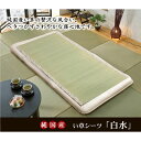 純国産 い草のシーツ(寝ござ) 『白水』 アイボリー シングル88×180cm(熊本県八代産イ草使用)