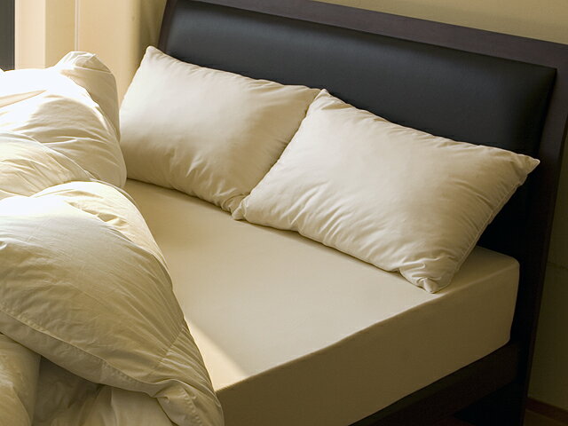 ■コンフォレル枕