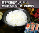 特別栽培米熊本阿蘇産コシヒカリ無洗米10kg（5kg2個）21送料無料、5kg2個セット