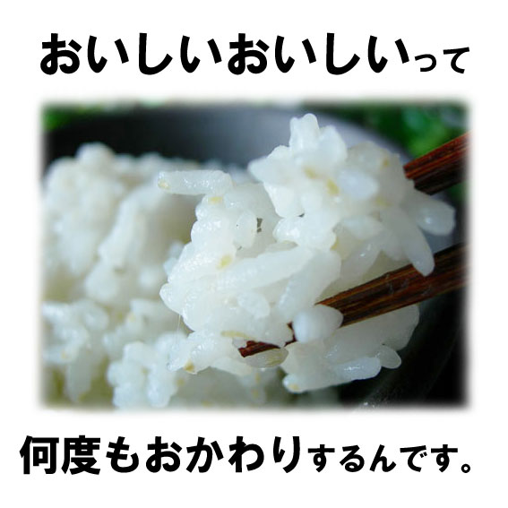 【何度でもOK】【送料無料】玄米食や胚芽米をあきらめた方に一般の白米より栄養ぎっしり米の力2kg2個セット2200円で送料無料【kyuguru1110】24時間タイムセール！2kg2個送料無料・税込価格2200円！