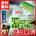 無洗米 2kg 送料無料 九州産 米 栄養ぎっしり 米の力 お試し 無洗米 4kg (2キロ×2個) 送料込み