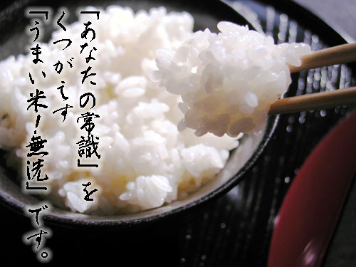 【送料無料】大人気の無洗米小袋セットいろいろためせて保管にも便利♪お急ぎ対応も可能です