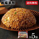 (送料無料)京都 たかばし 新福菜館 特製炒飯(250g×5袋)(メーカー直送)(冷凍便