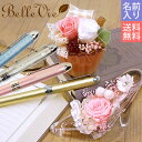名入れ多機能ペン プラチナ&プリザーブドフラワーセット『ボヌール』【専用ケース 説明書 正規品】【RCP】【送料無料】 母の日 10P03Dec16 父の日