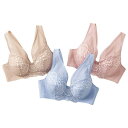 ブラジャー D75 D80 D85 D90 D95 E75 E80 E85 E90 E95 【3色組】すらっと背中が叶うフルカップブラ(D75〜E95) ベルーナ 40代 50代 60代 レディース ミセス 大人 ファッション インナーコレクション 秋服 秋冬 インナー ブラ 下着 大きいサイズ