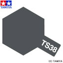 ߥ䥫顼ץ졼 TS-38 ᥿ ڥߥ:  ץǥۡڳڥ_