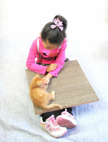 ●安心の日本製●猫（ネコ）の爪とぎ【ガリット ワイドタイプ 2枚セット-箱付き-】ねこ大好き！【SBZcou1208】
