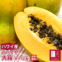 パパイア 【送料無料】ホテル御用達ハワイ産 パパイヤ 大箱(約8玉-12玉入り)「北海道・沖縄は+540円」