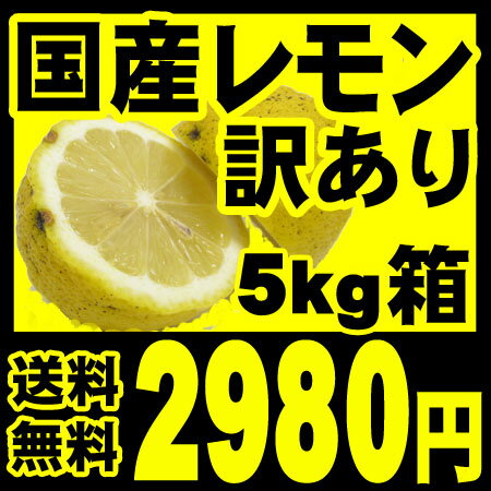 yVLO܁I!MtgΉOKOK̑킯菤iłI܂Aɂ͖肠܂!yzgĈSY󂠂Bi5kg