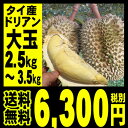 ドリアン 1個 (約2.5kg前後)■ご予約受付中■【商品入荷次第お届け・12月上旬以降お届け予定】【北海道・沖縄は送料+540円必要】 ドリアン 1個 (約2.5kg前後)■ご予約受付中■【商品入荷次第お届け・12月上旬以降お届け予定】【北海道・沖縄は送料+540円必要】