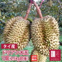 ドリアン 大玉 1個 (約2.5kg前後)【商品入荷次第お届け】【送料無料】 【北海道・沖縄は送料+540円必要】 果物 トロピカルフルーツ ドリアン ドリヤン 南国フルーツ